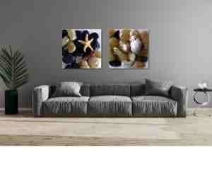 Whispers of the Shore