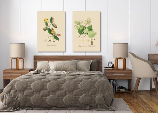 "Ochna Quarrosa – A Botanical Study"