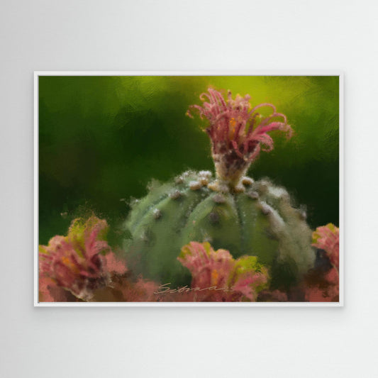 Desert Bloom Serenade