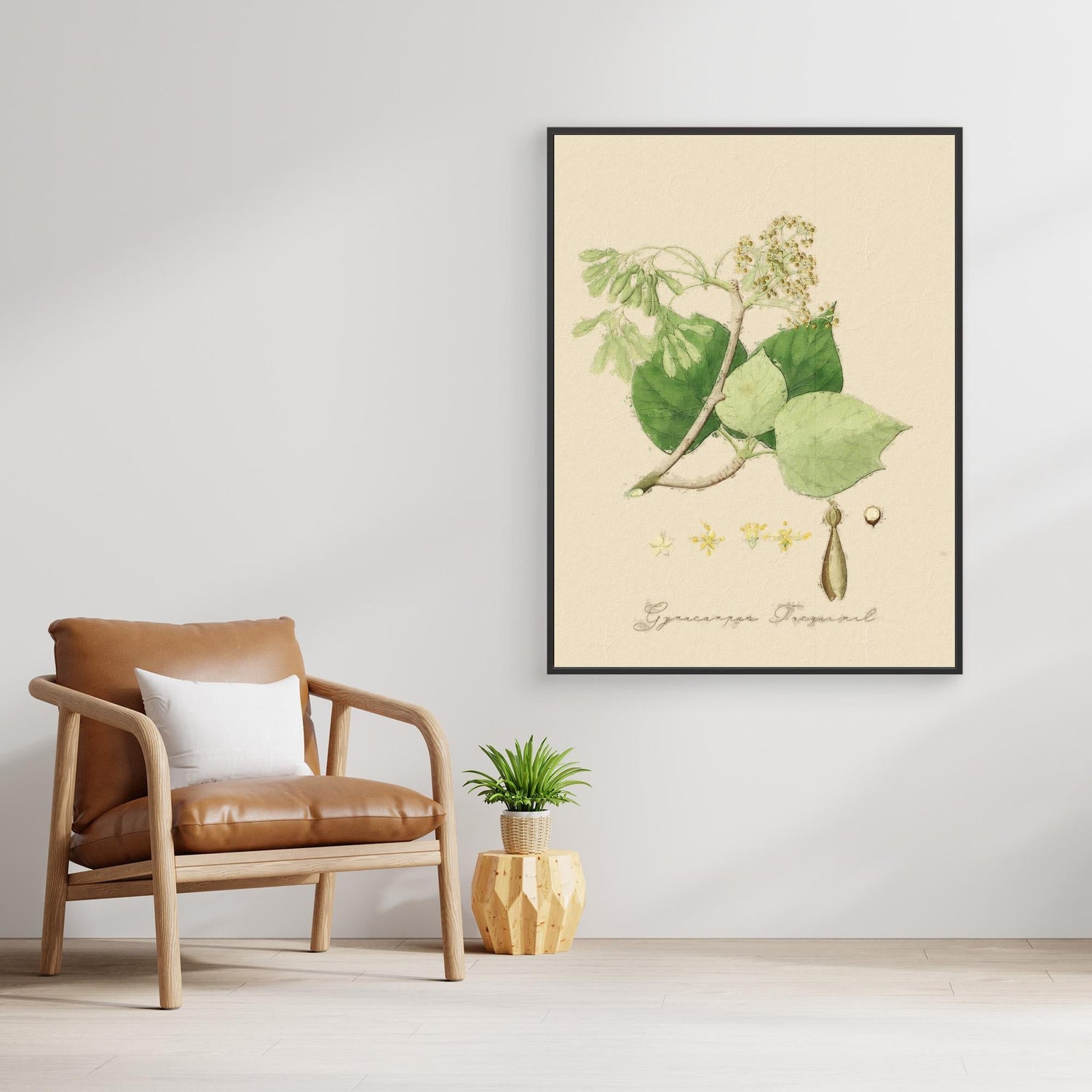 Florals and Botanicals