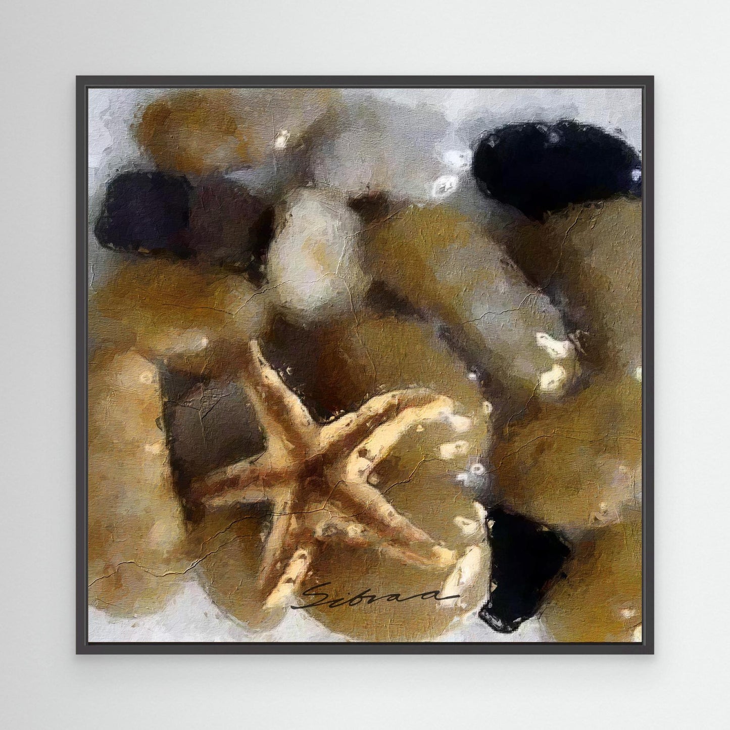 Pebbles and Shells 3