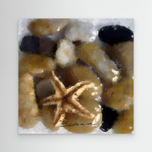 Pebbles and Shells 3