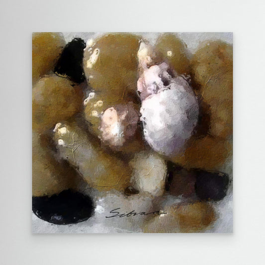 Pebbles and Shells 4