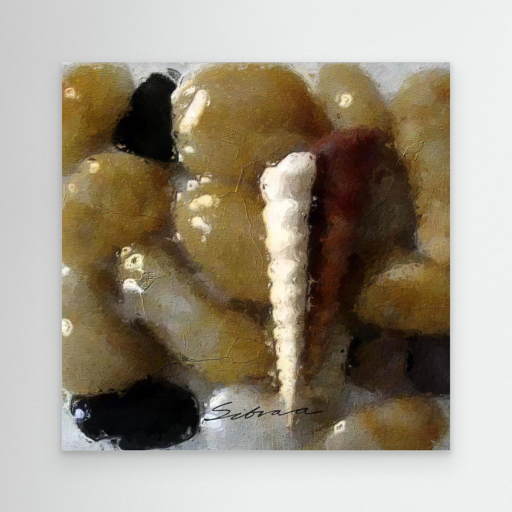 Pebbles and Shells 1